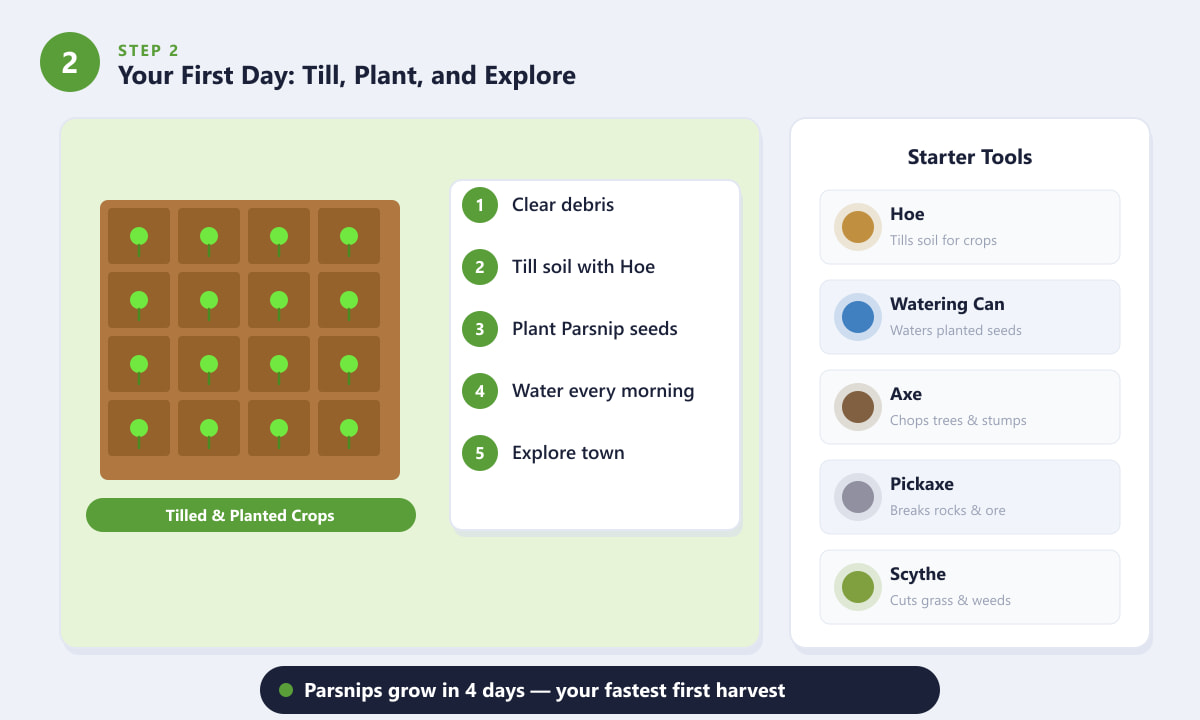 Stardew Valley first day tasks — tilling soil, planting crops, and starter tools
