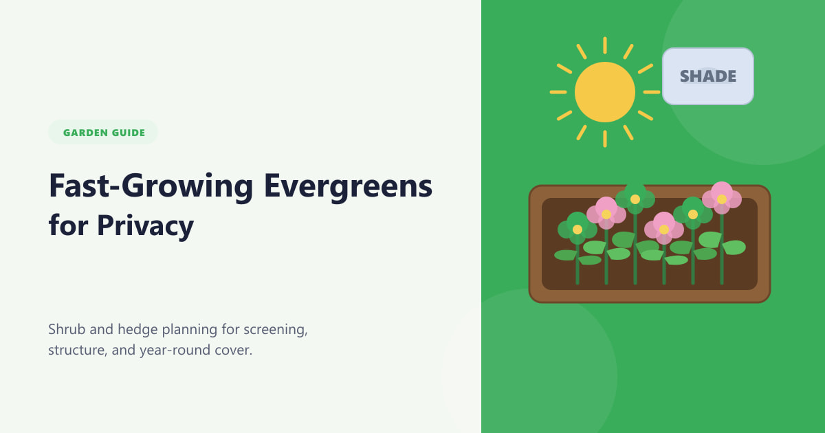 Fast-Growing Evergreens for Privacy Guide