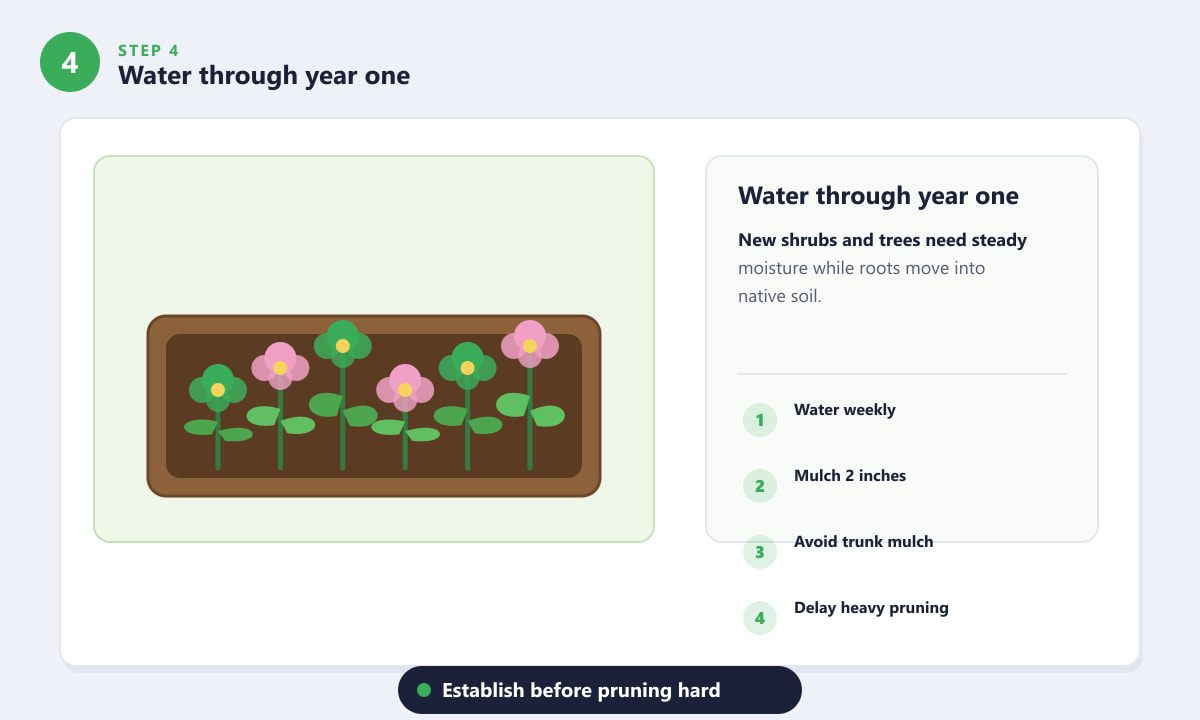 Flowering Vines That Grow in Shade - Water through year one