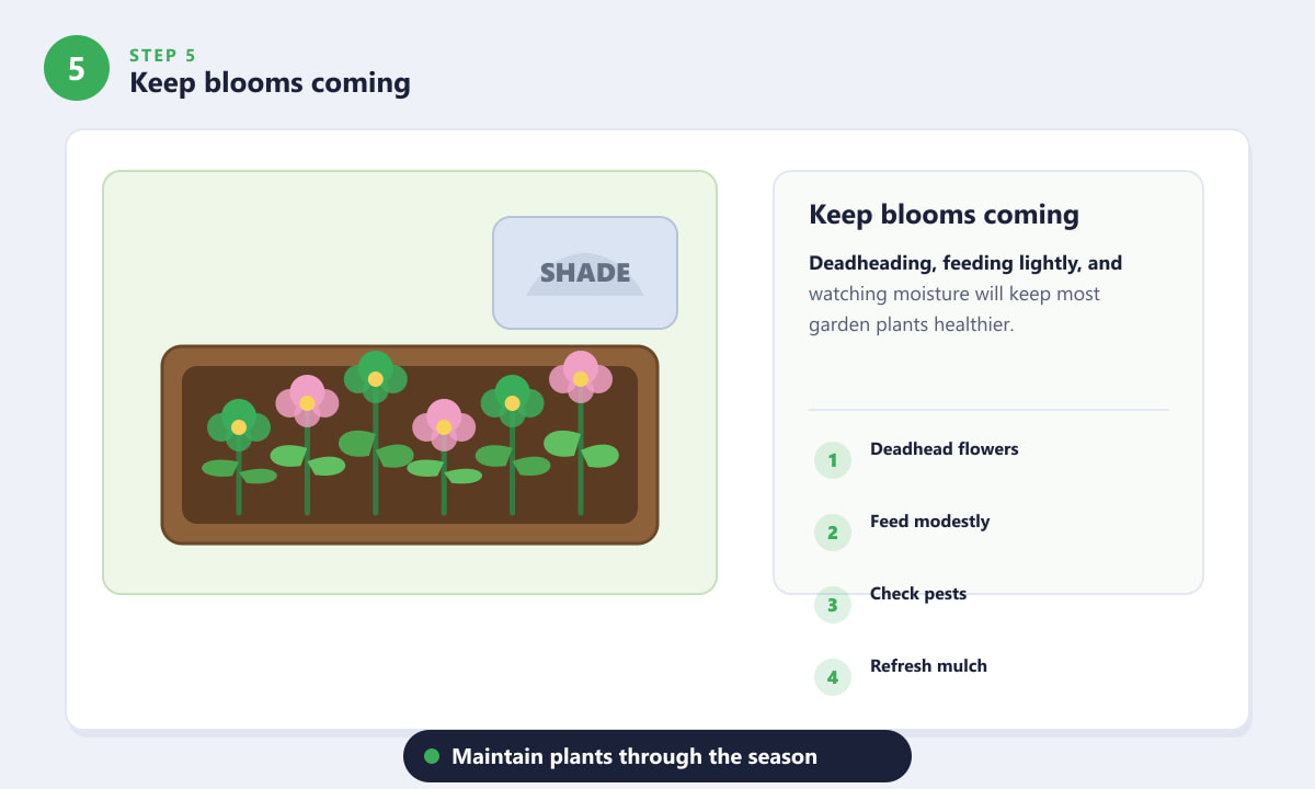 Flowers for Both Sun and Shade - Keep blooms coming