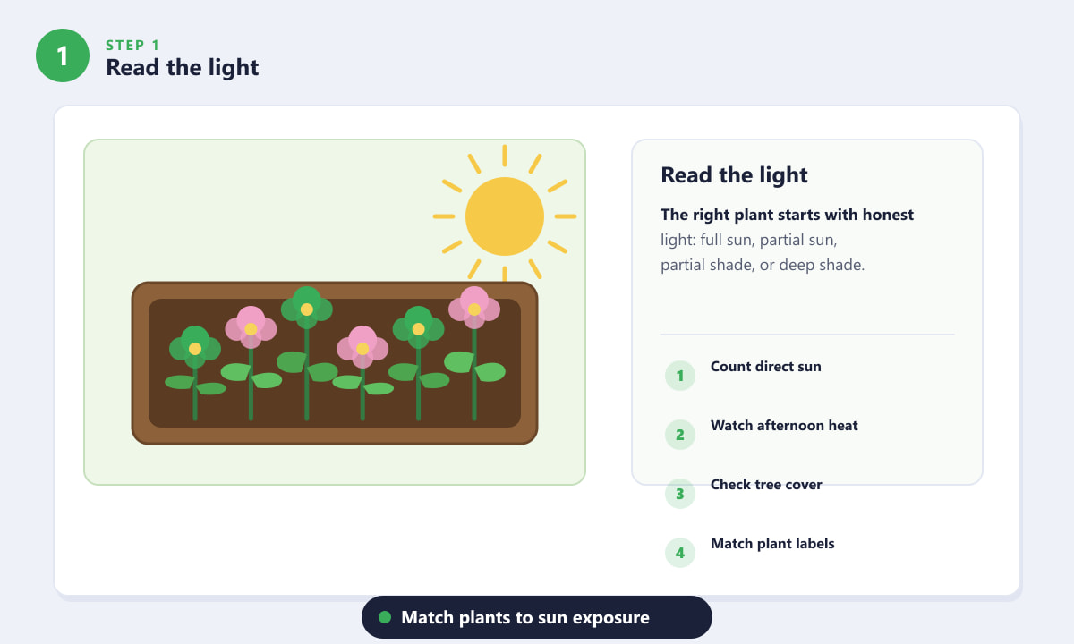 Flowers That Don't Need Much Sun - Read the light