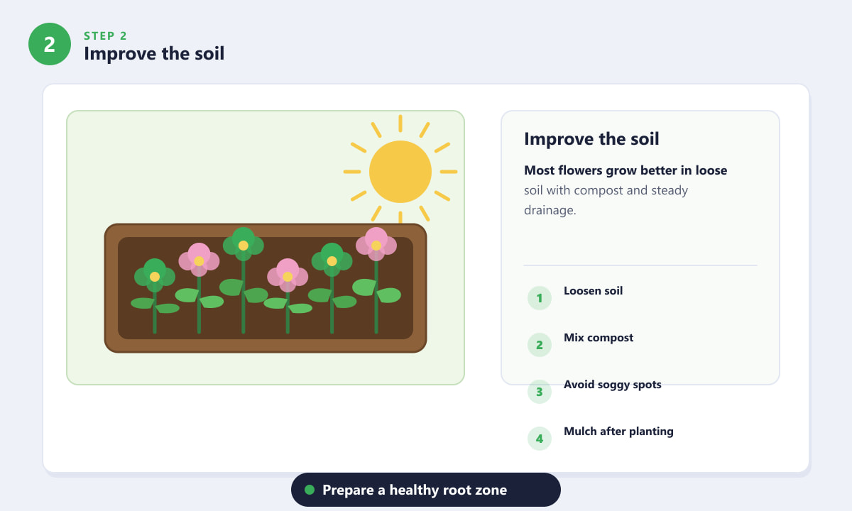 Flowers That Don't Need Much Sun - Improve the soil