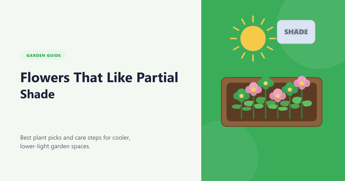 Flowers That Like Partial Shade Guide