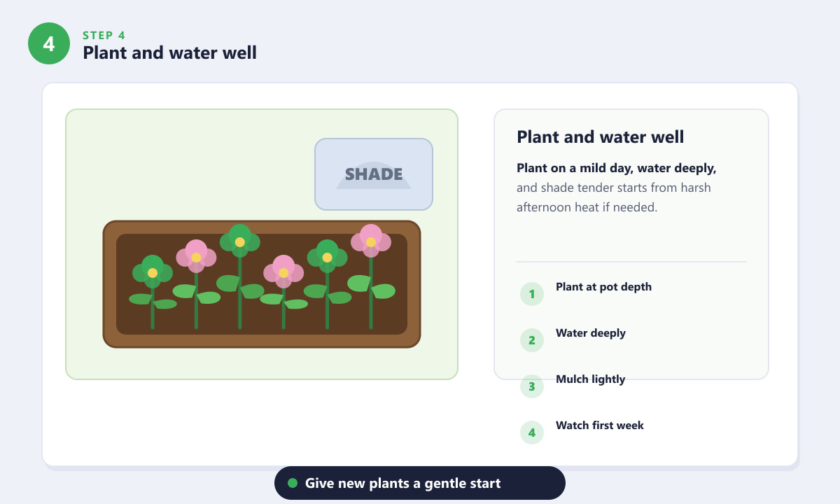 Flowers That Love Partial Sun - Plant and water well