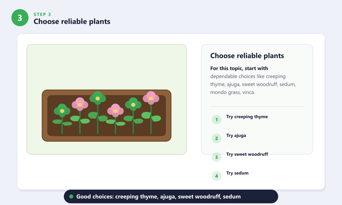 Ground Cover for Shady Areas - Choose reliable plants