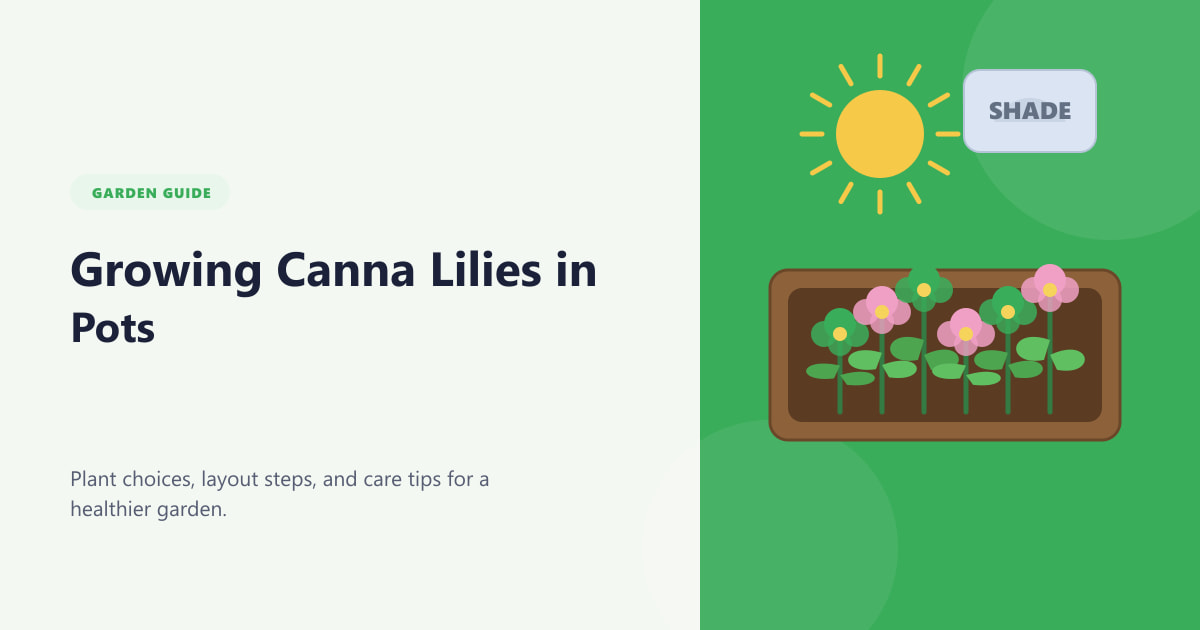 Growing Canna Lilies in Pots Guide