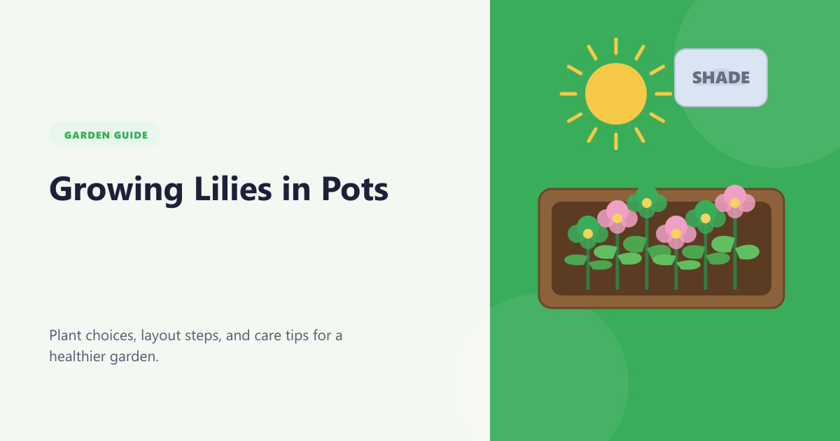 Growing Lilies in Pots Guide