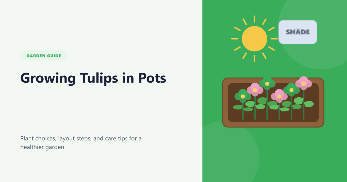 Growing Tulips in Pots Guide