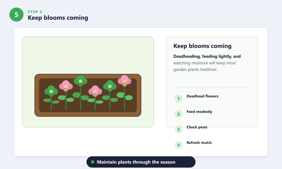Comment nettoyer un AeroGarden&nbsp;? – Pour une floraison continue