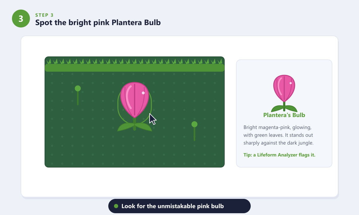 Spotting the bright pink Plantera Bulb against the dark Underground Jungle in Terraria