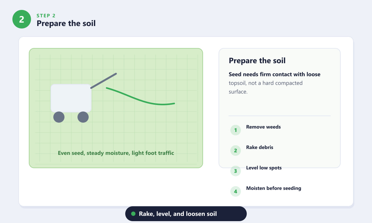 How to Grow an Avocado from Seed - Prepare the soil