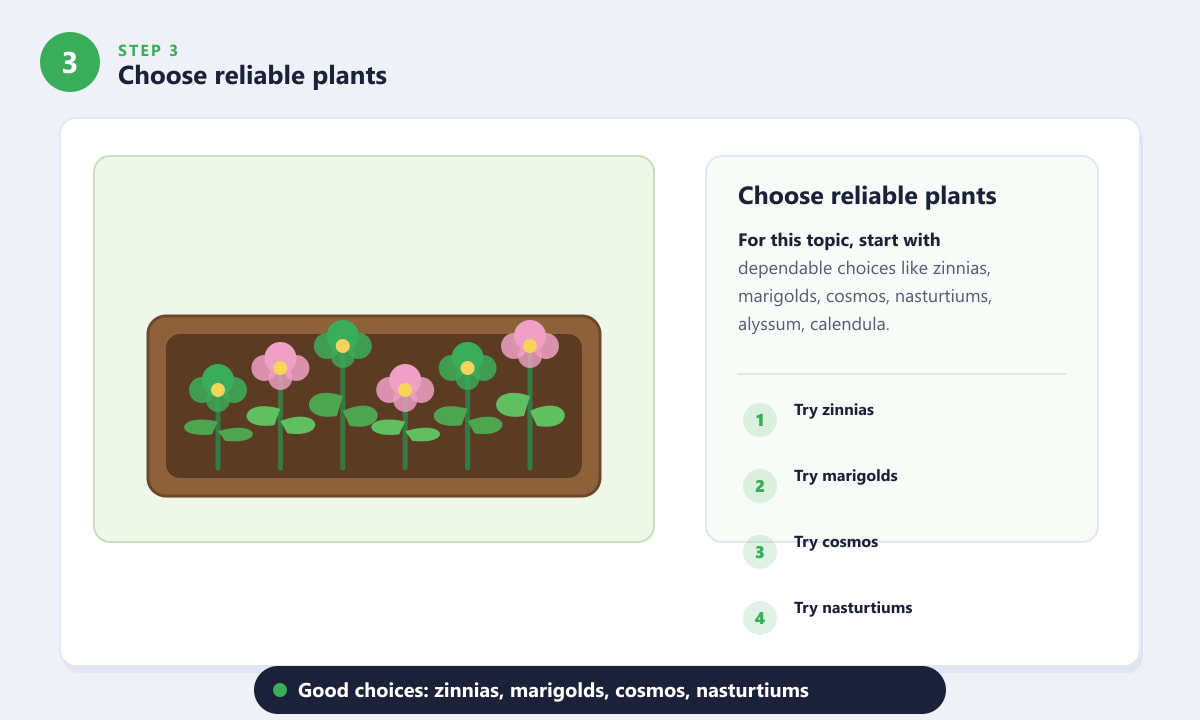 How to Grow Beautiful Roses - Choose reliable plants