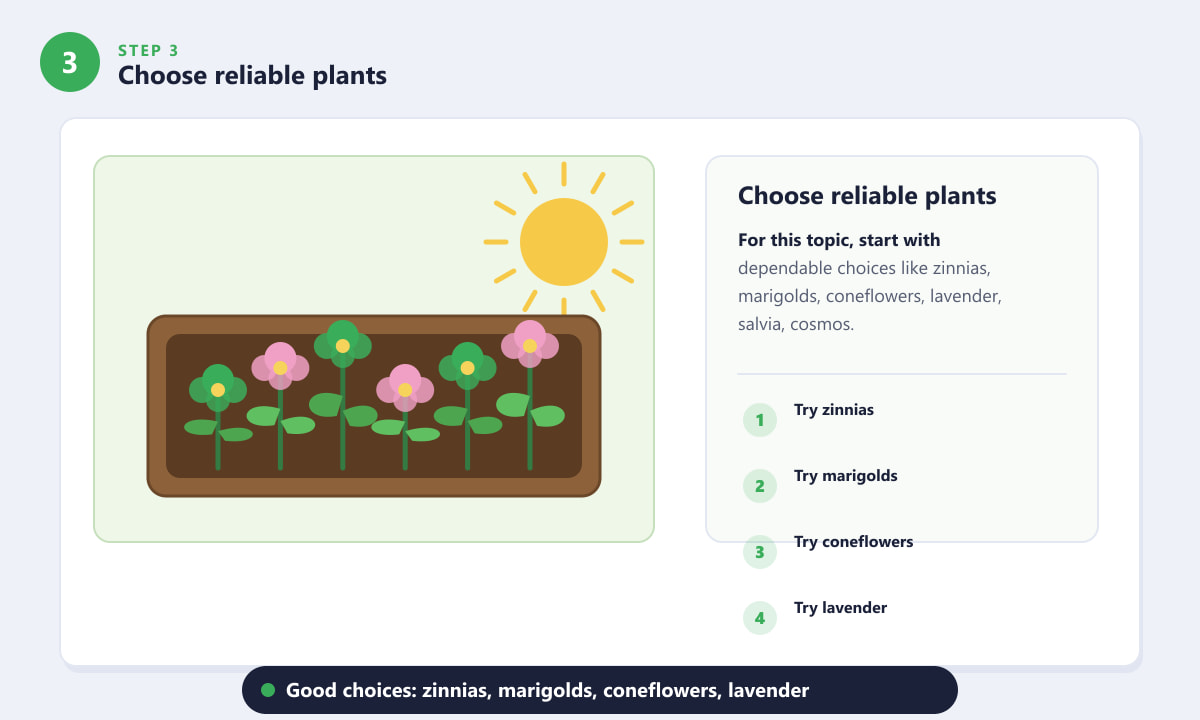 Hydrangeas That Handle Full Sun - Choose reliable plants