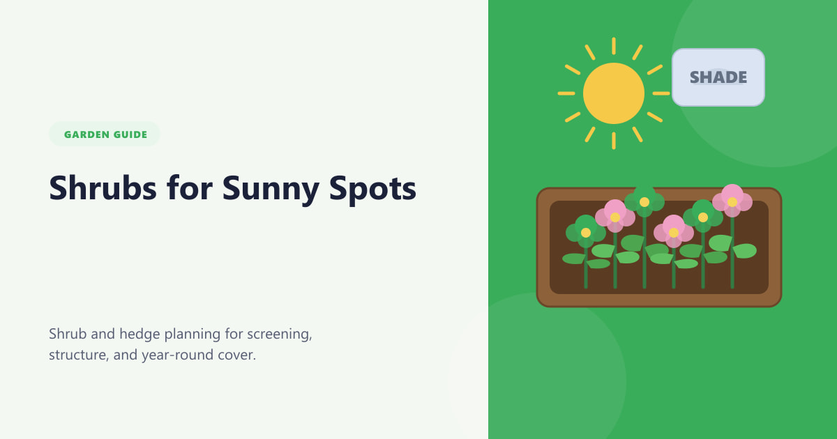 Shrubs for Sunny Spots Guide