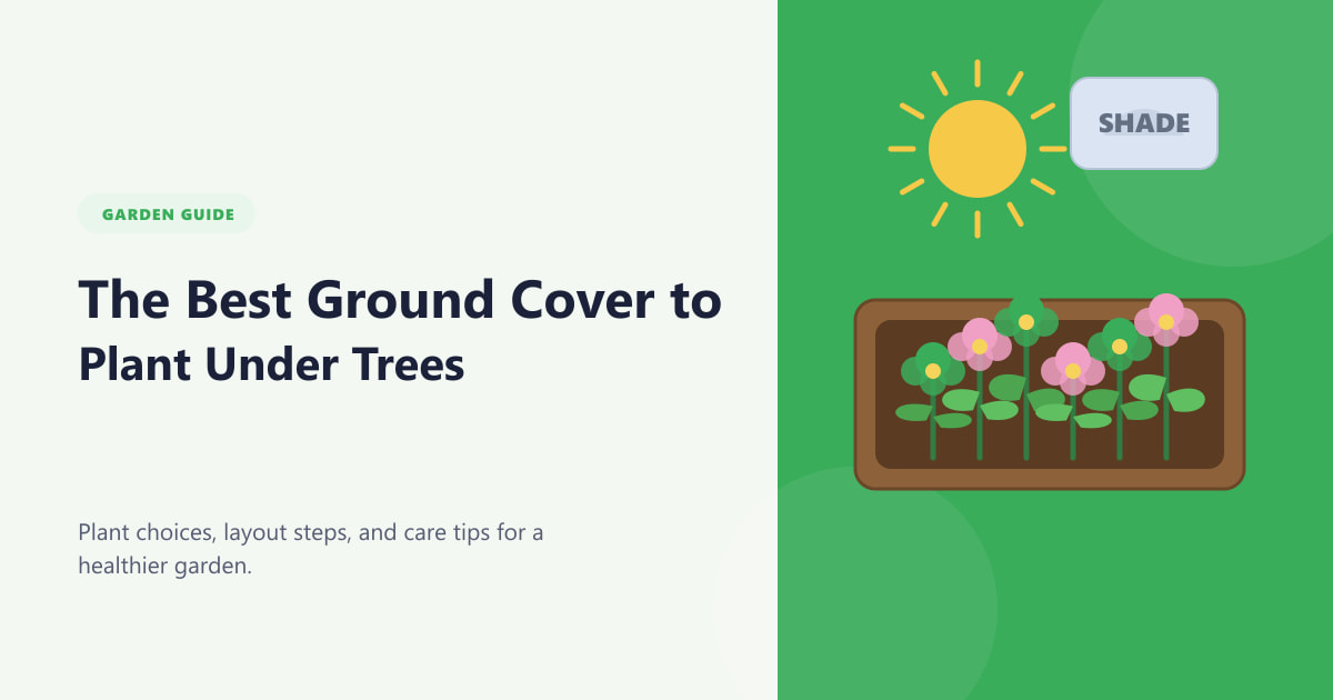 The Best Ground Cover to Plant Under Trees Guide