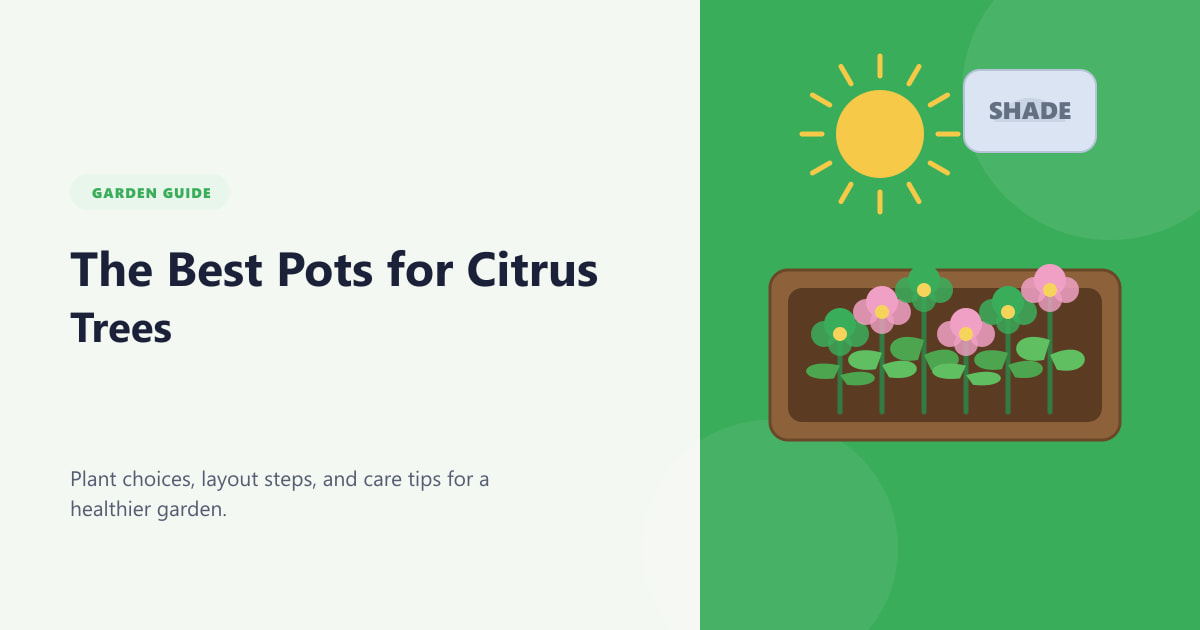 Guide des meilleurs pots pour agrumes