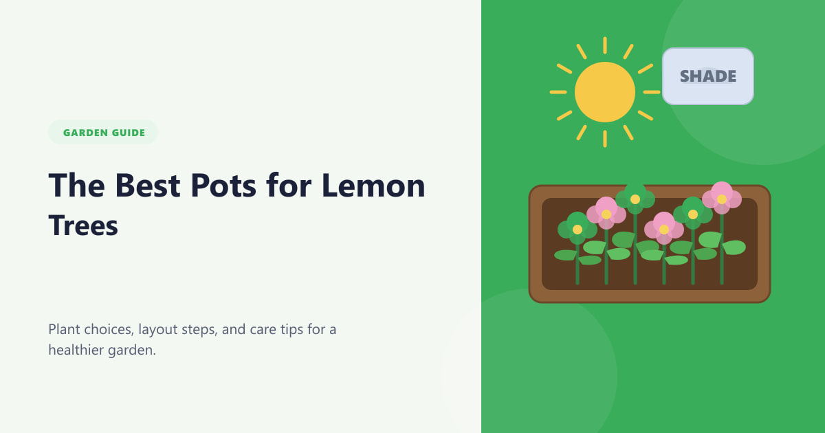 The Best Pots for Lemon Trees Guide