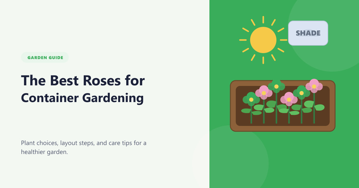 The Best Roses for Container Gardening Guide