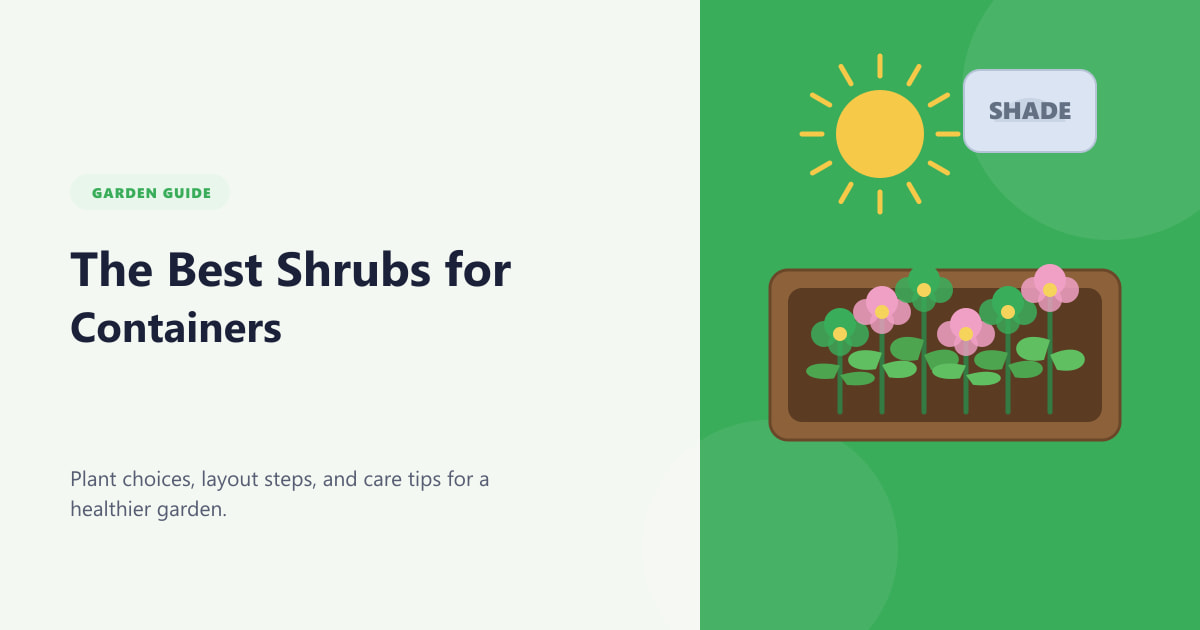 The Best Shrubs for Containers Guide