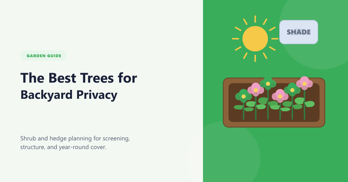 The Best Trees for Backyard Privacy Guide