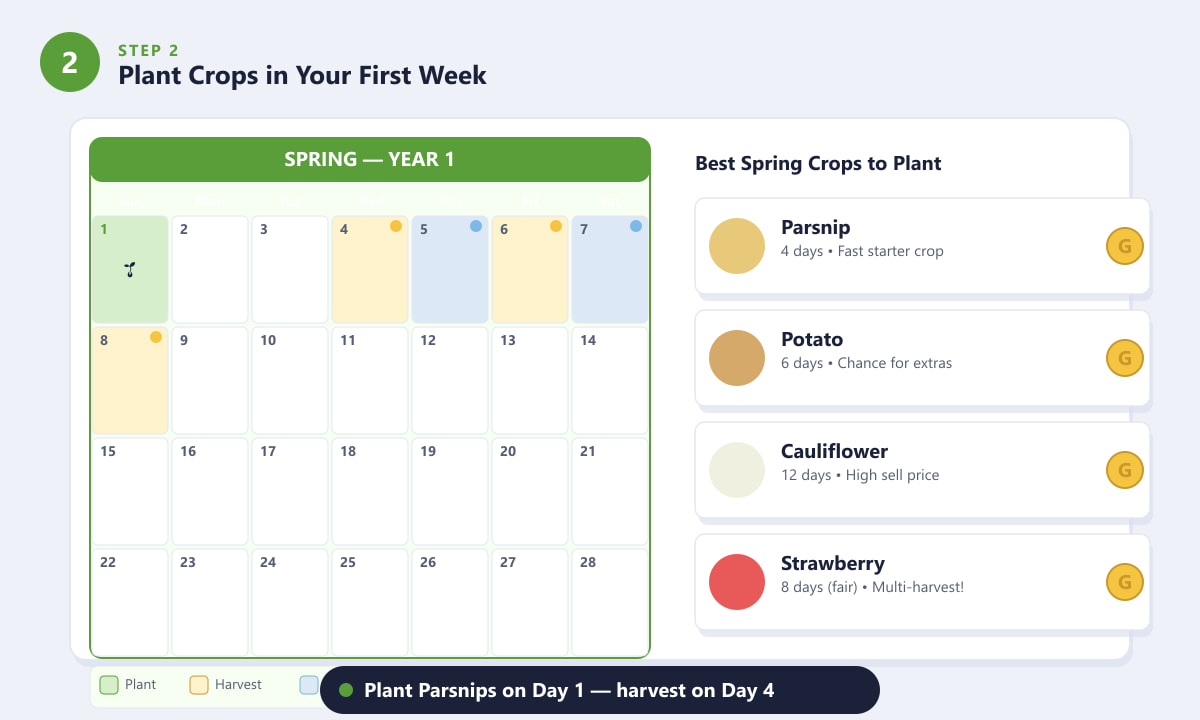 Stardew Valley Spring Year 1 calendar showing planting schedule and best crops like Parsnip and Potato