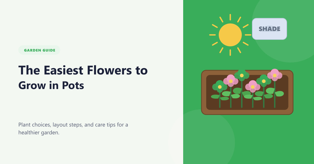 The Easiest Flowers to Grow in Pots Guide