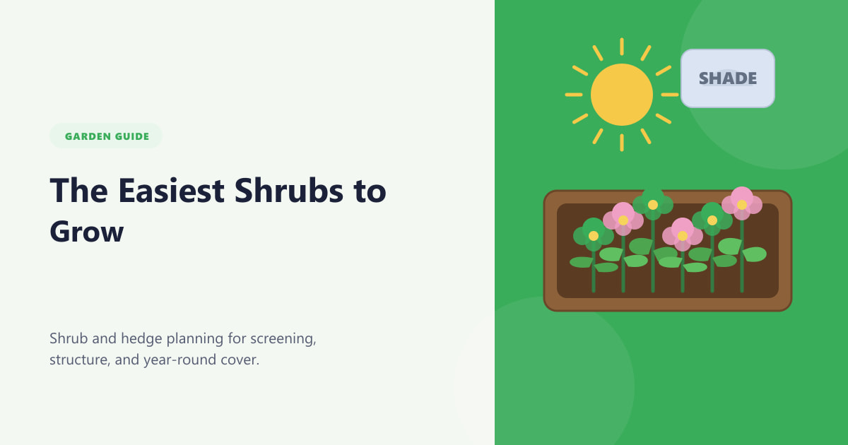 The Easiest Shrubs to Grow Guide