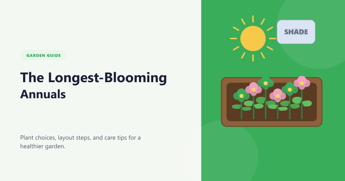 The Longest-Blooming Annuals Guide
