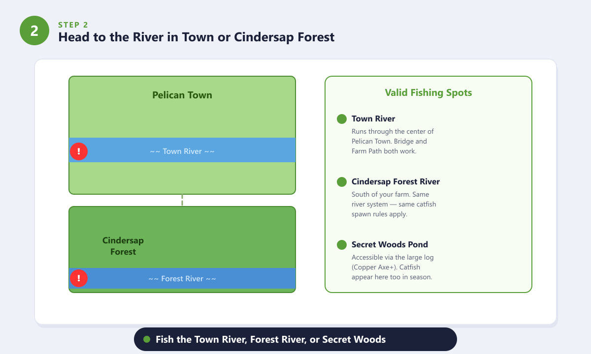 Map showing catfish fishing locations in Stardew Valley: Town River and Cindersap Forest River