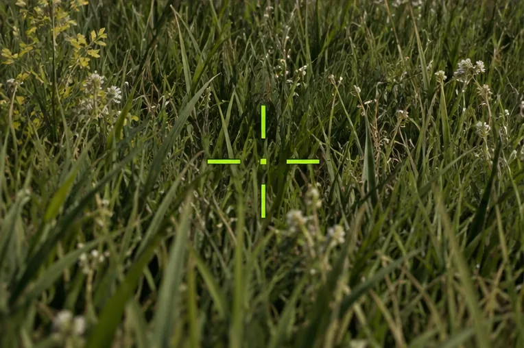 Best Color Filter for Spotting Enemies in PUBG Grass
