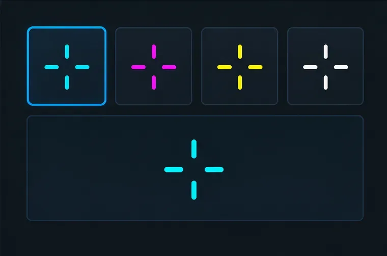 PC 版《帕拉丁》最佳視野和準星顏色設置