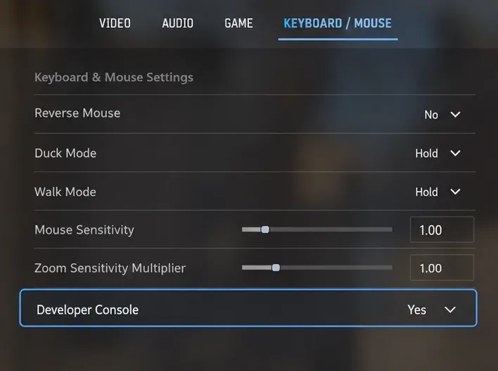 Un écran de configuration du clavier et de la souris de type CS2 avec l'option console de développement sélectionnée.