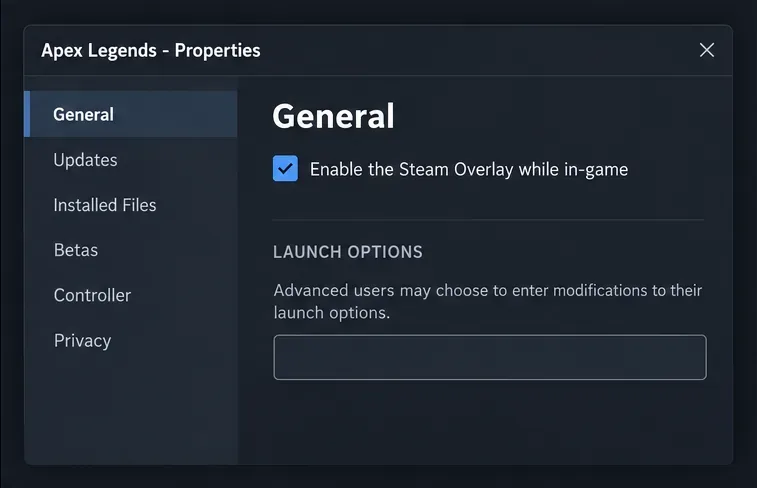 Steamのプロパティウィンドウの「一般」タブで、「起動オプション」フィールドが空になっている状態。