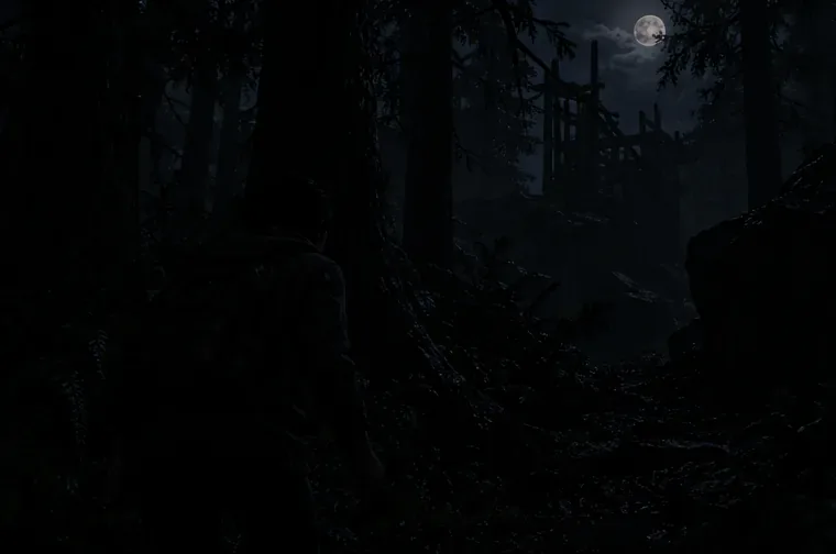 A nearly black forest path where a dark-clothed figure blends into tree trunks and undergrowth
