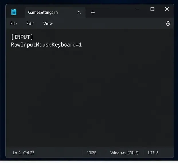 Een donkere teksteditor toont het voorbeeldinvoergedeelte en RawInputMouseKeyboard is gelijk aan 1.