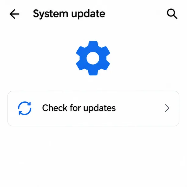 Illustrative Android System update screen with a Check for updates option