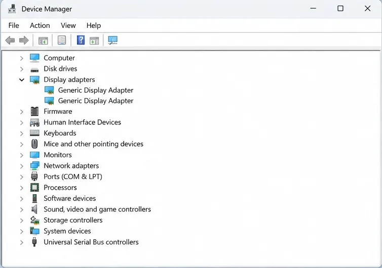 Windows Apparaatbeheer met de beeldschermadapters uitgevouwen om twee generieke grafische adapters weer te geven.