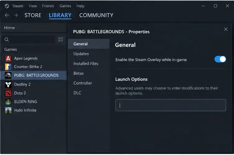 A Biblioteca Steam mostra as propriedades do PUBG: BATTLEGROUNDS com o campo Opções de Inicialização vazio.