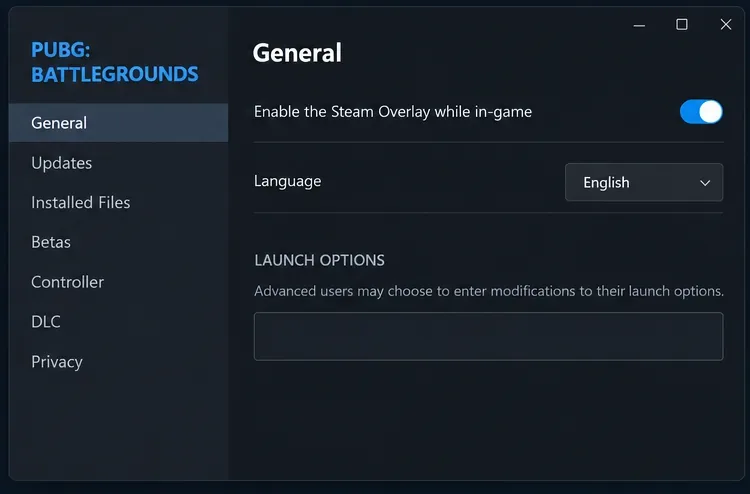 How to Fix PUBG Stuck on Initializing on Steam