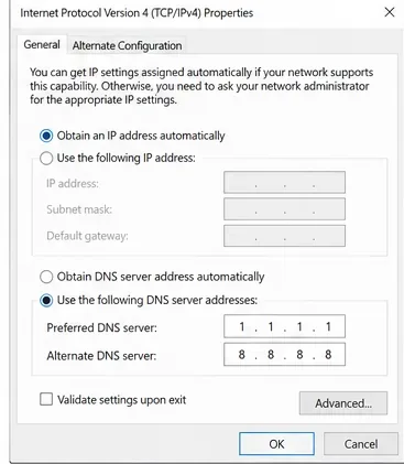 Windows IPv4 properties dialog with manually entered preferred and alternate DNS server fields