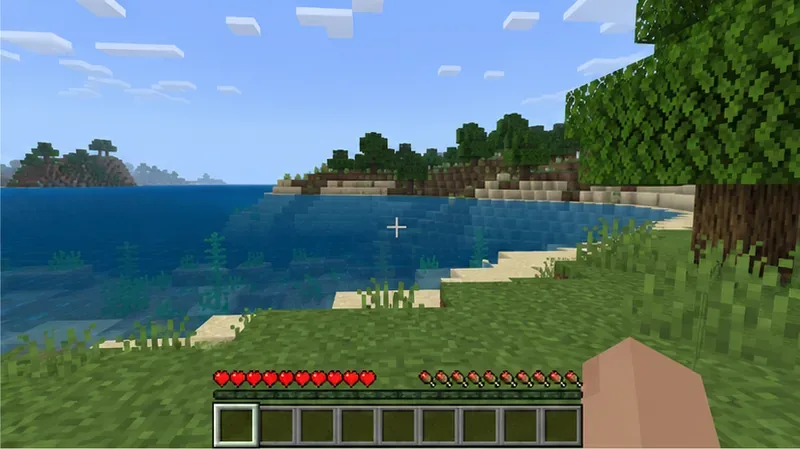 A Bedrock player standing on a dry grassy shore beside the water, a useful comparison when checking whether damage continues after surfacing.