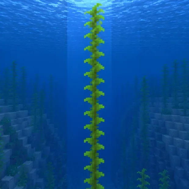 A tall kelp stalk growing upward through a clear underwater water column
