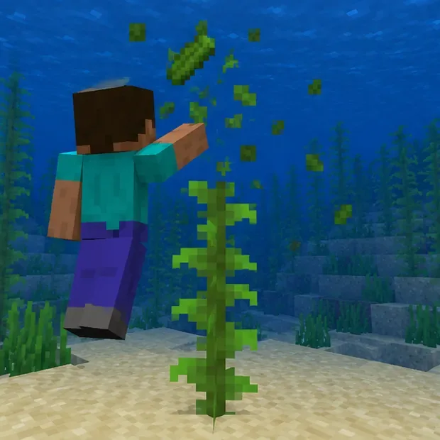 A player breaks the upper kelp while the bottom stalk remains planted in the seabed