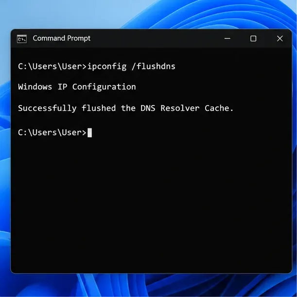 A Command Prompt window showing ipconfig /flushdns and the successful DNS resolver cache message.